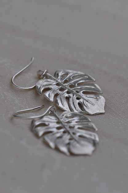 monstera L עגילי כסף